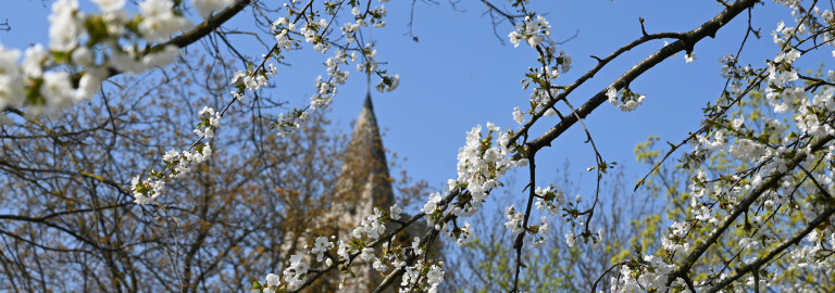 Frühling