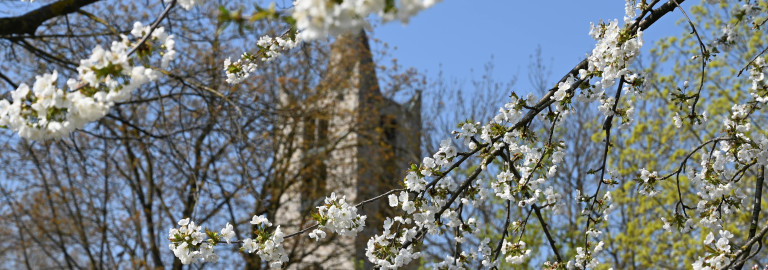 Kirche im Frühling